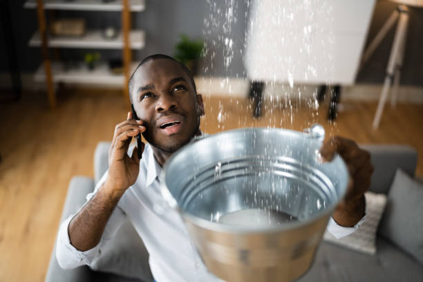 Best Flooded house restoration  in Hollins, VA