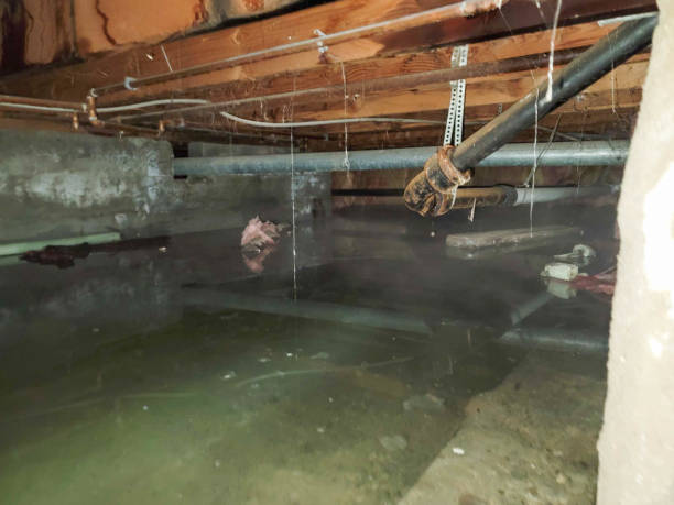 Best 24/7 water damage repair  in Hollins, VA