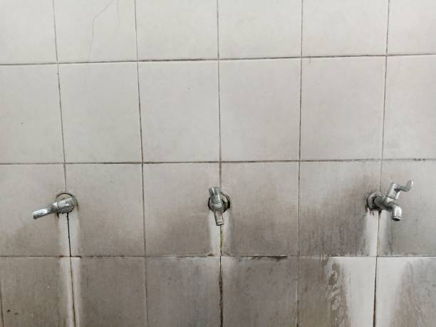 Best Sewage cleanup and water damage restoration  in Hollins, VA