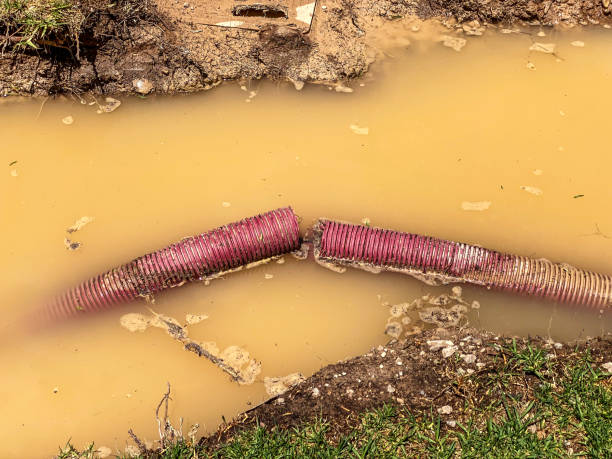 Best 24-hour water damage restoration  in Hollins, VA