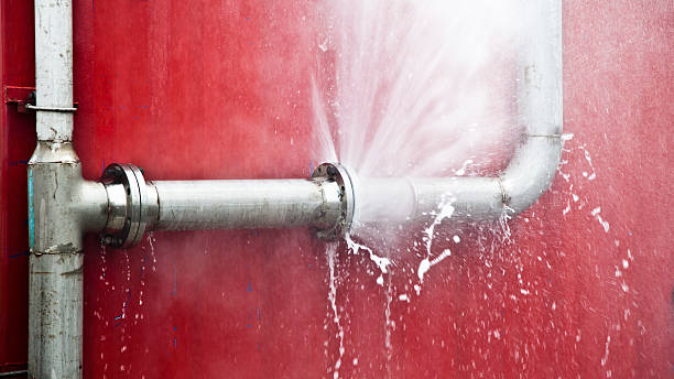 Best Flood restoration services  in Hollins, VA