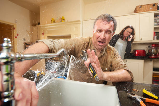 Best Flood damage cleanup  in Hollins, VA